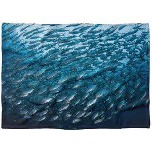 IMPAR Fleecová deka Hejno ryb 150x120 cm (Rozměr : 150 x 120 cm, Podšití beránkem: NE)