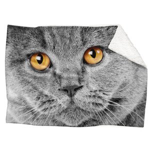 IMPAR Fleecová deka Kočičí pohled 150x120 cm (Rozměr : 200 x 140 cm, Podšití beránkem: ANO)