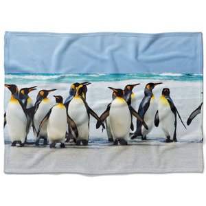 IMPAR Fleecová deka Tučňáci 150x120 cm (Rozměr : 150 x 120 cm, Podšití beránkem: NE)