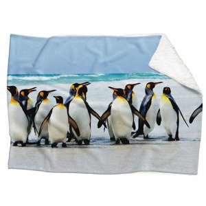 IMPAR Fleecová deka Tučňáci 150x120 cm (Rozměr : 200 x 140 cm, Podšití beránkem: ANO)