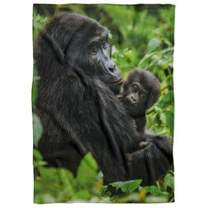 IMPAR Fleecová deka Gorila a mládě 150x120 cm (Rozměr : 200 x 140 cm, Podšití beránkem: NE)