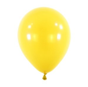 Balonek Standard Yellow Sunshine 30 cm, D02 - žlutý